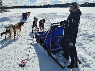 You'll be driving your own dogsled with 3-5 dogs per team | Photo: WLA