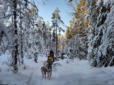 The trails take you through beautiful snow-clad forests | Photo: WLA
