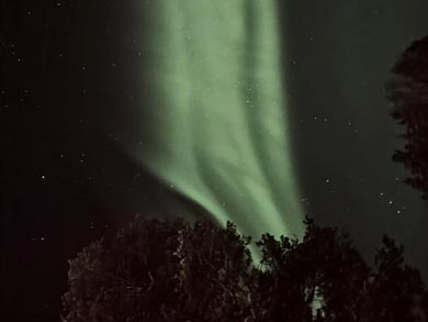 Northern Lights may be a magical bonus for your dogsled tour! | Photo: WLA