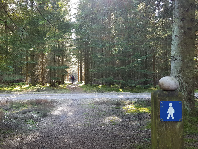 Self-guided Hiking on Haervejen