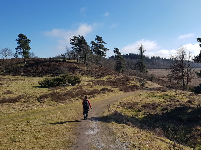 Hiking on Haervejen in Denmark