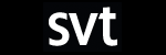 SVT Nordnytt Swedish Television News